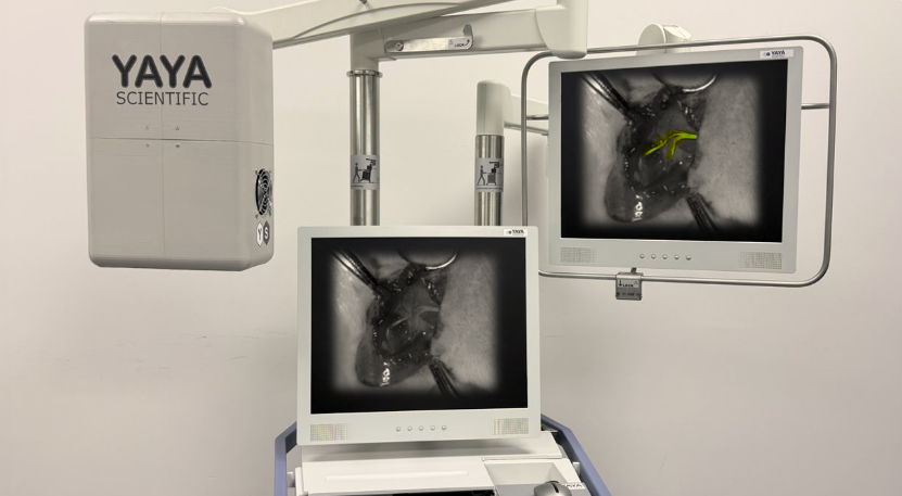 Alina<sup>TM<sup> for Intraoperative Nerve Imaging